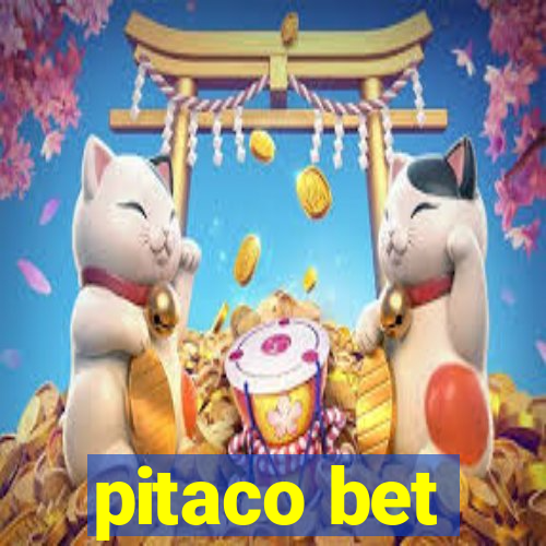 pitaco bet